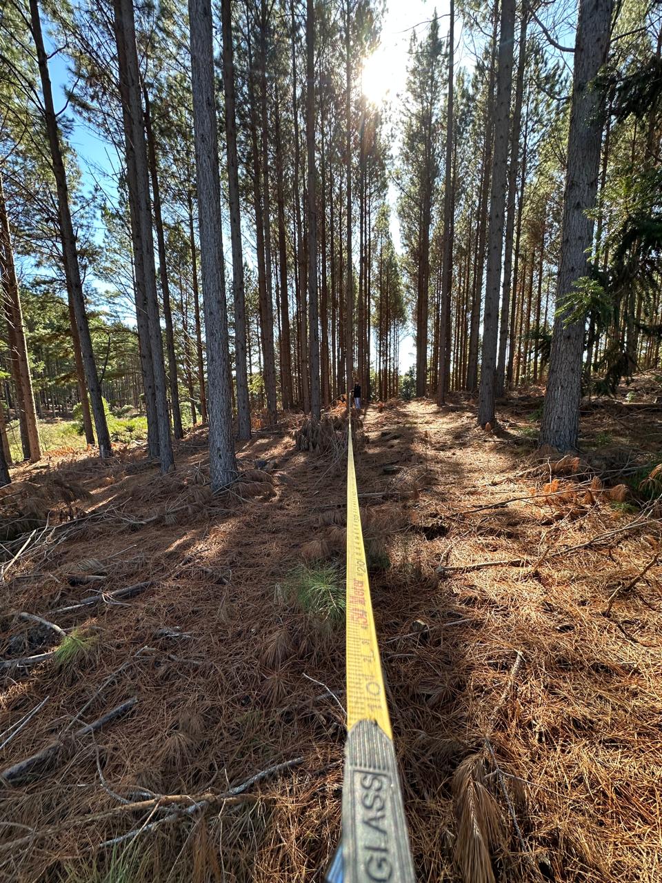 Perícia técnica — medição em área florestal